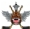 Flying Monkeys